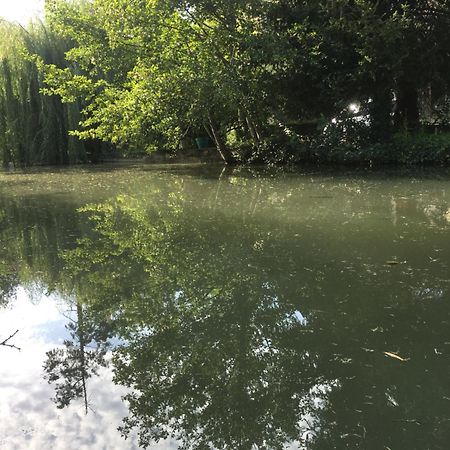 Fontenille-Saint-Martin-d'Entraigues Moulin De Coupignyヴィラ エクステリア 写真