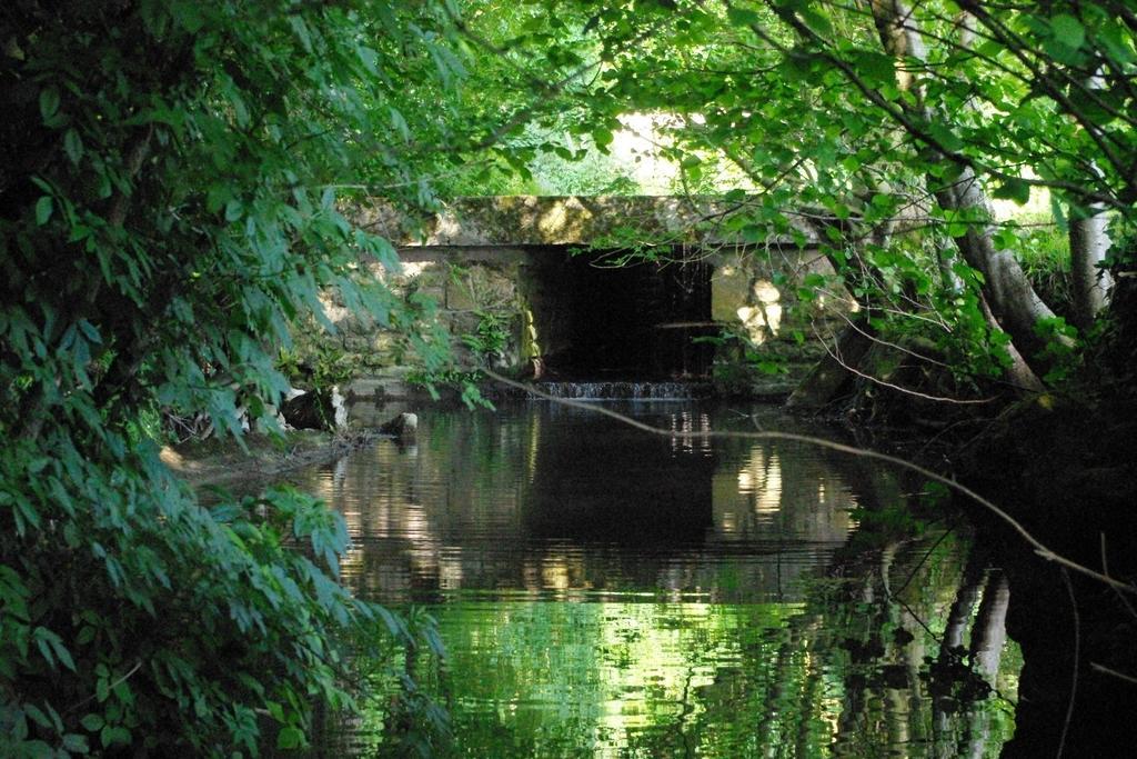 Fontenille-Saint-Martin-d'Entraigues Moulin De Coupignyヴィラ 部屋 写真