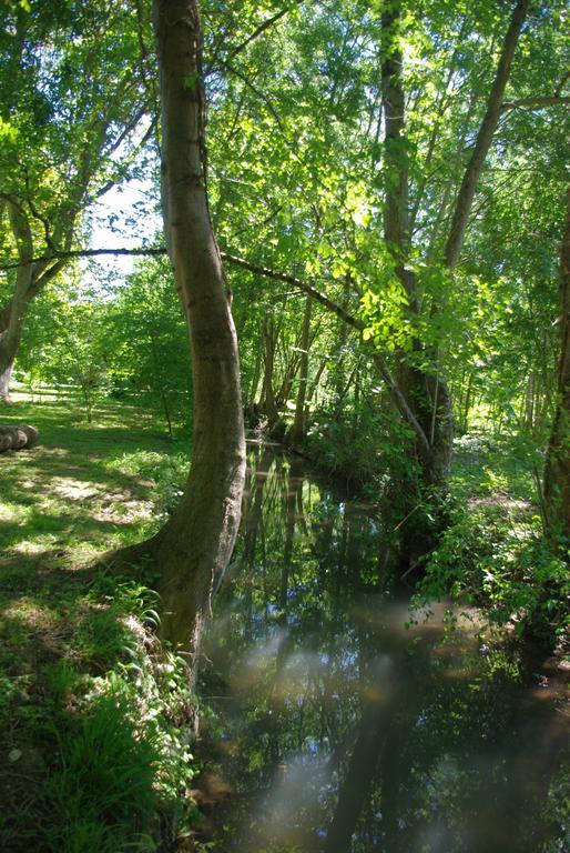 Fontenille-Saint-Martin-d'Entraigues Moulin De Coupignyヴィラ 部屋 写真