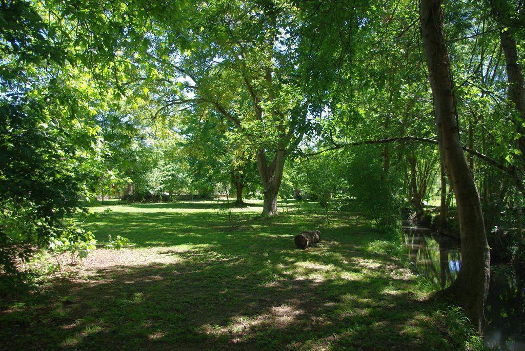 Fontenille-Saint-Martin-d'Entraigues Moulin De Coupignyヴィラ 部屋 写真