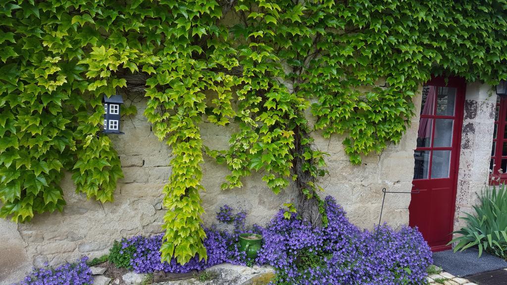 Fontenille-Saint-Martin-d'Entraigues Moulin De Coupignyヴィラ エクステリア 写真