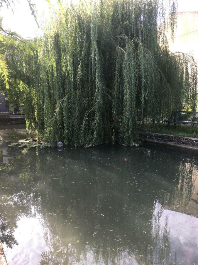 Fontenille-Saint-Martin-d'Entraigues Moulin De Coupignyヴィラ エクステリア 写真