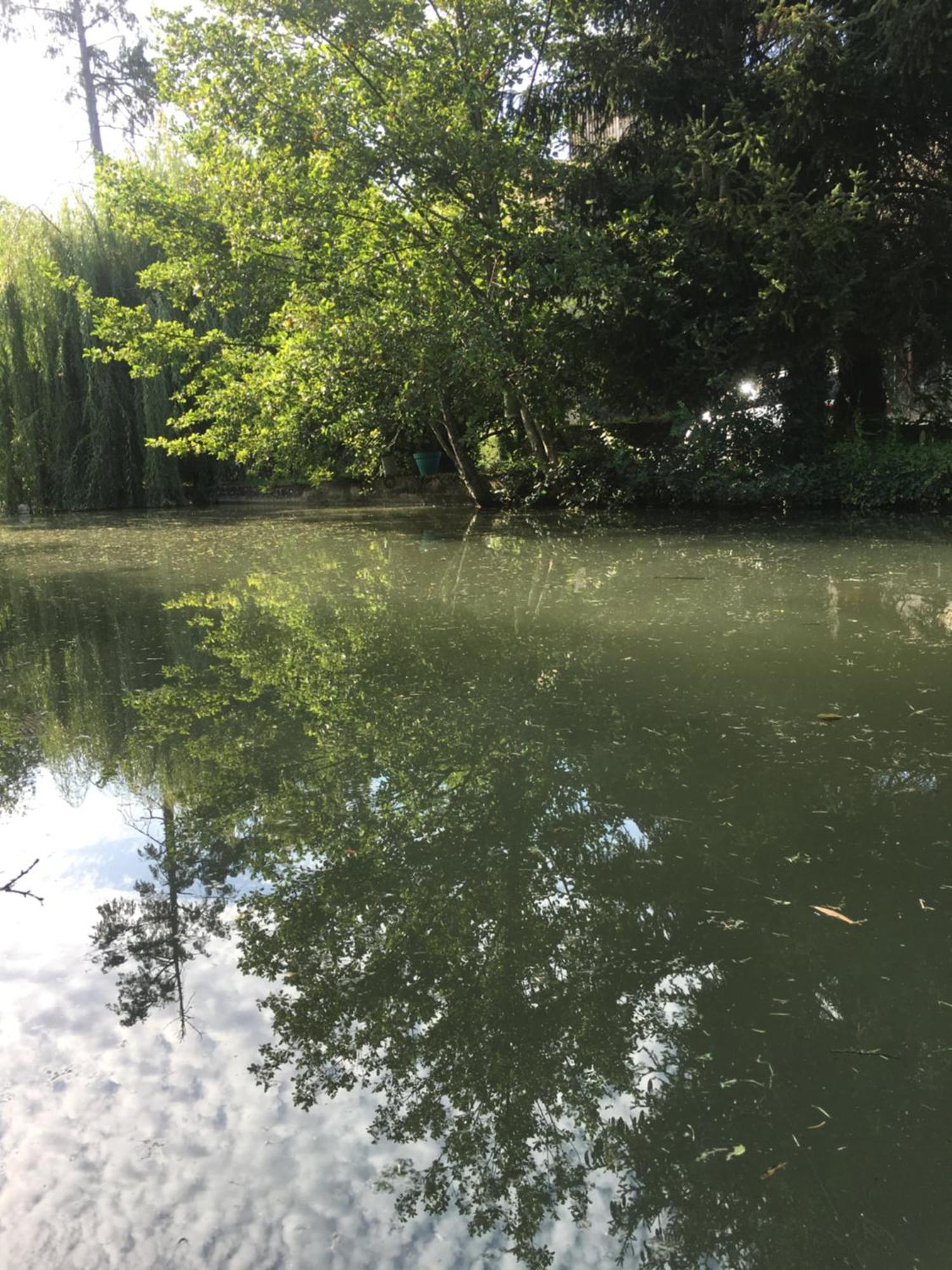 Fontenille-Saint-Martin-d'Entraigues Moulin De Coupignyヴィラ エクステリア 写真