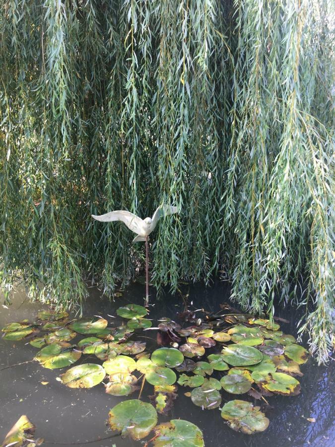 Fontenille-Saint-Martin-d'Entraigues Moulin De Coupignyヴィラ エクステリア 写真